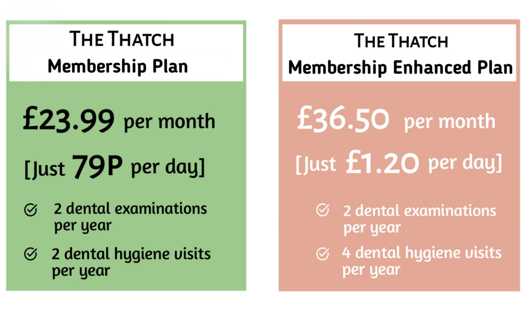 the thatch dental membership plan